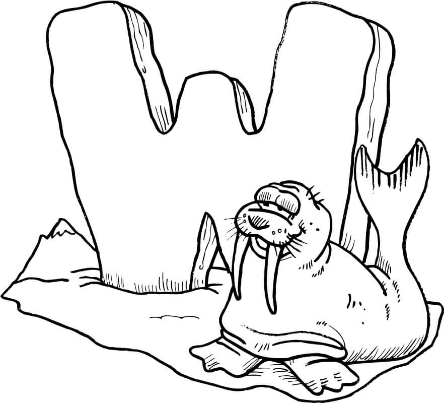 Walrus Letter W 1 Coloring Game Walrus Letter W 1