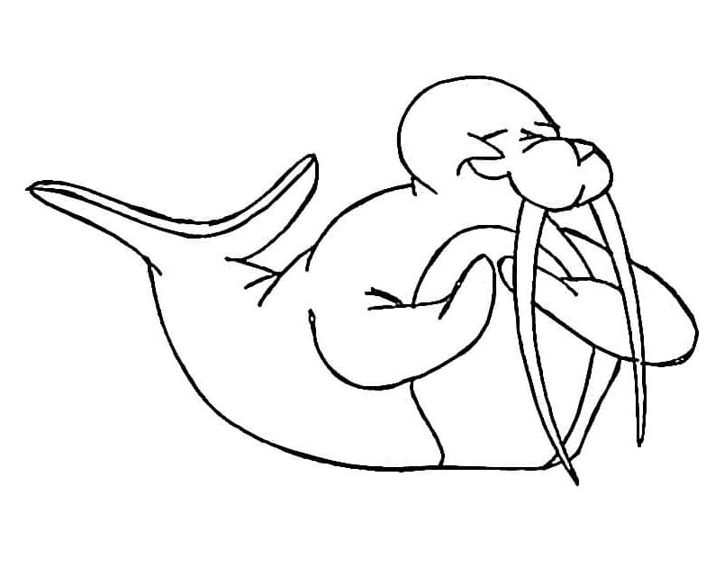 Walrus Looks Happy