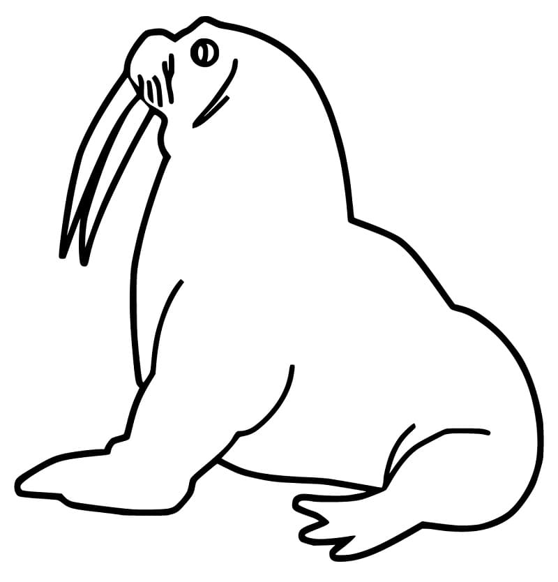 Walrus Printable