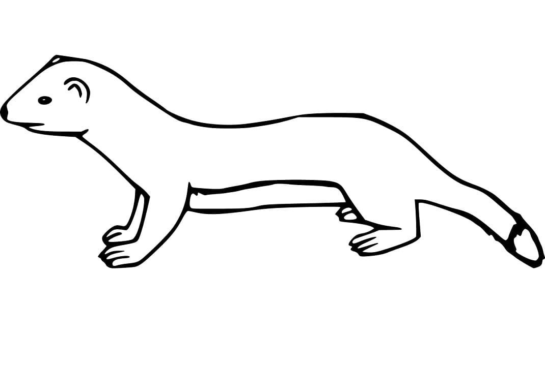 Weasel 1 Coloring Game Weasel 1