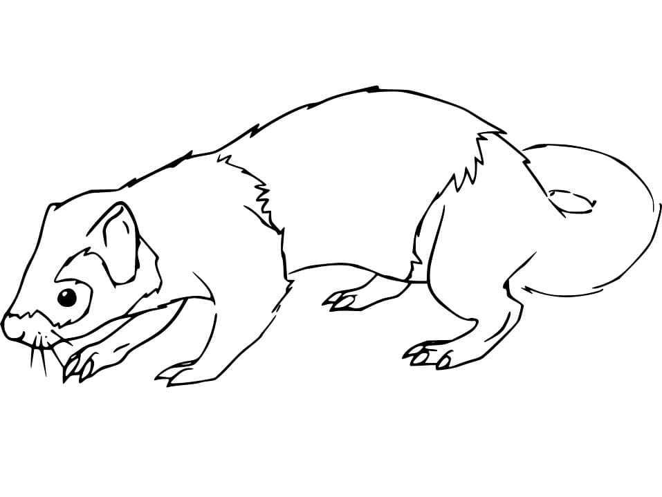 Weasel 10 Coloring Game Weasel 10