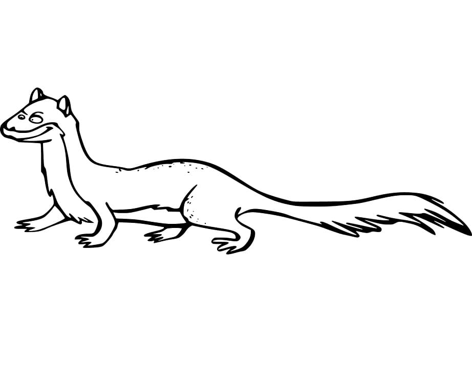 Weasel 12 Coloring Game Weasel 12