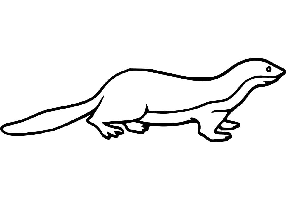 Weasel 3 Coloring Game Weasel 3