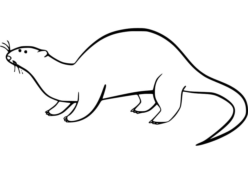 Weasel 4 Coloring Game Weasel 4