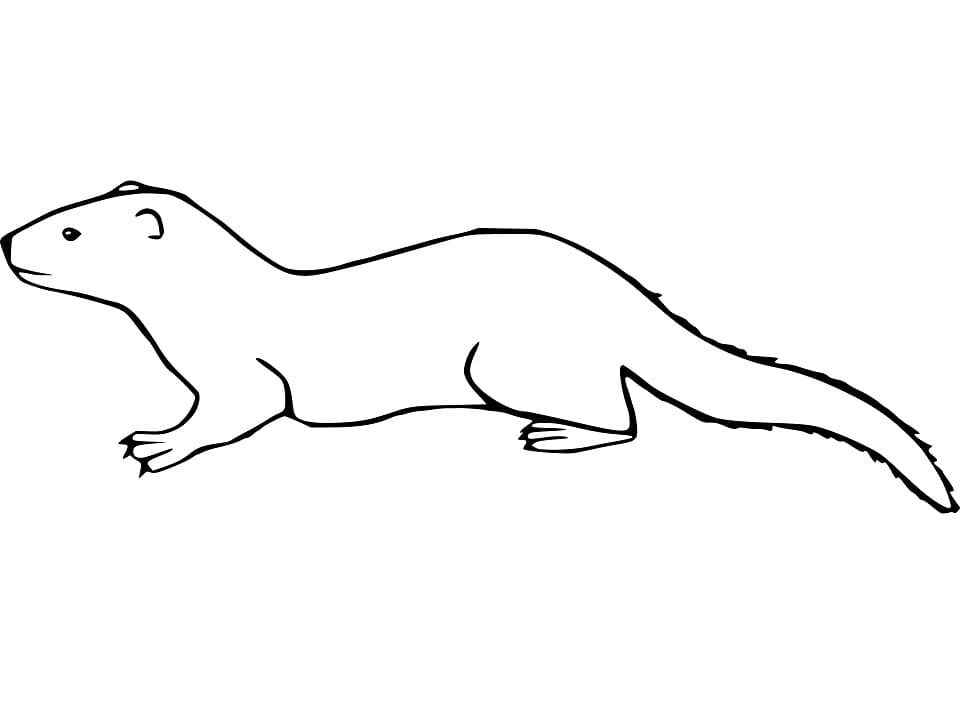 Weasel 5 Coloring Game Weasel 5