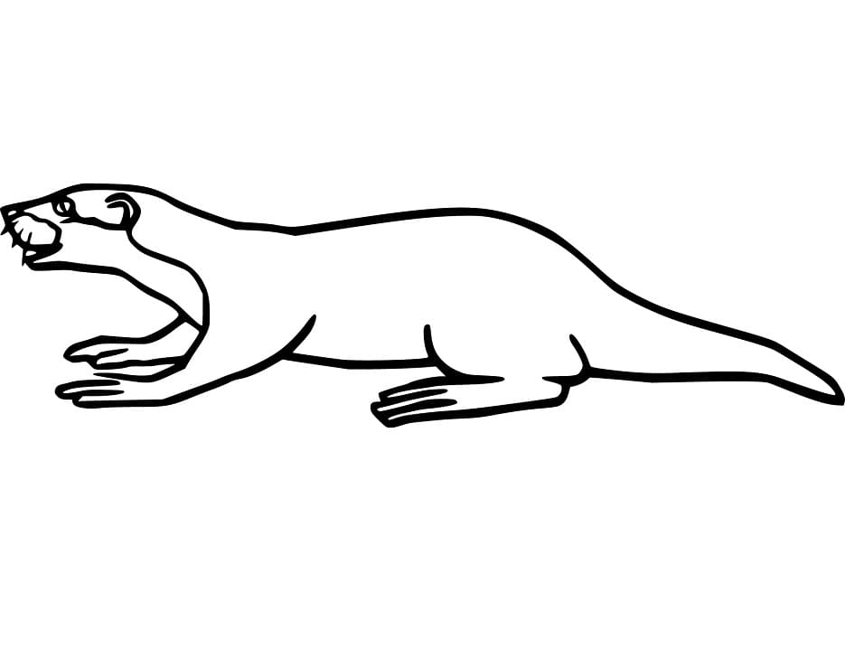 Weasel 6 Coloring Game Weasel 6