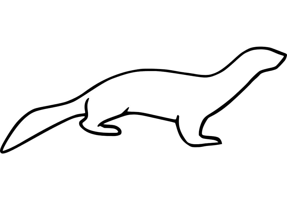 Weasel Outline Coloring Game Weasel Outline