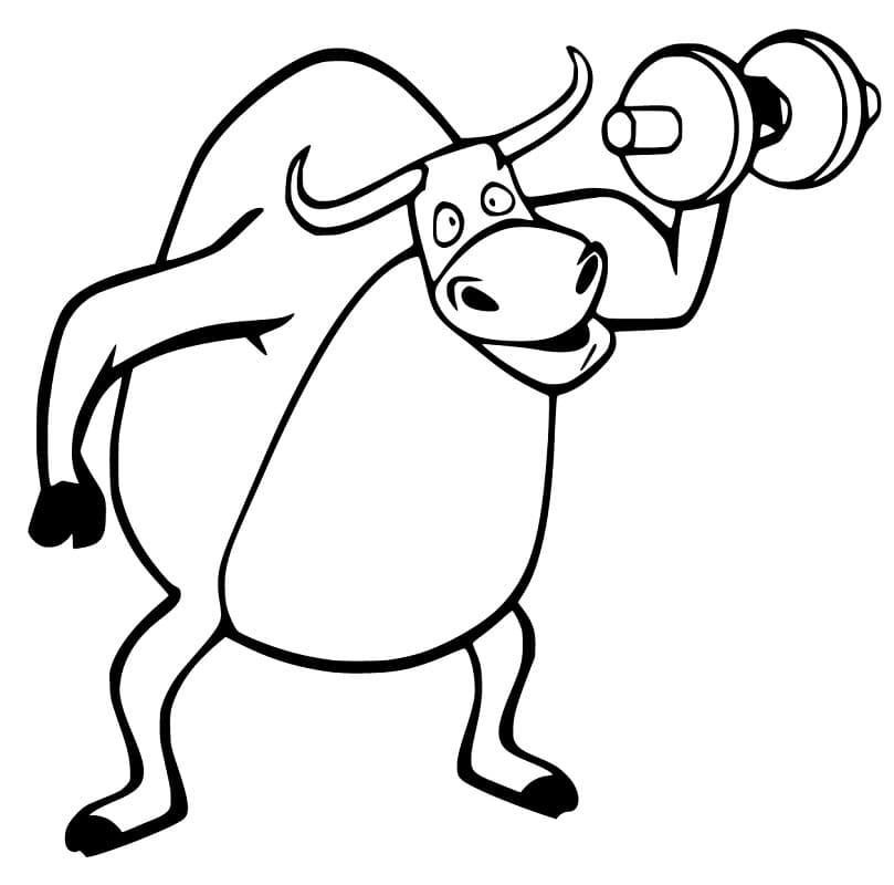 Weightlifting Bull