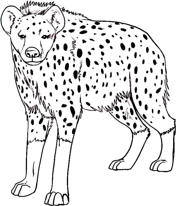 Wild Hyena Coloring Game Wild Hyena
