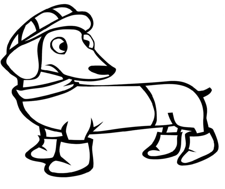 Winter Dachshund Coloring Game Winter Dachshund