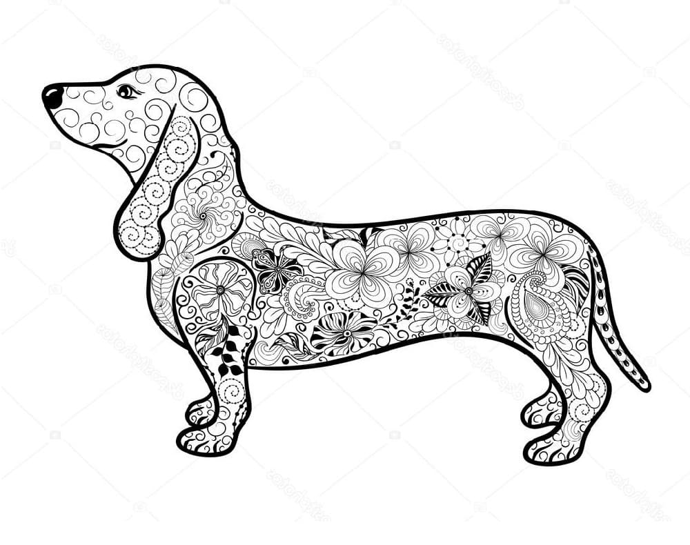 Wonderful Dachshund Coloring Game Wonderful Dachshund
