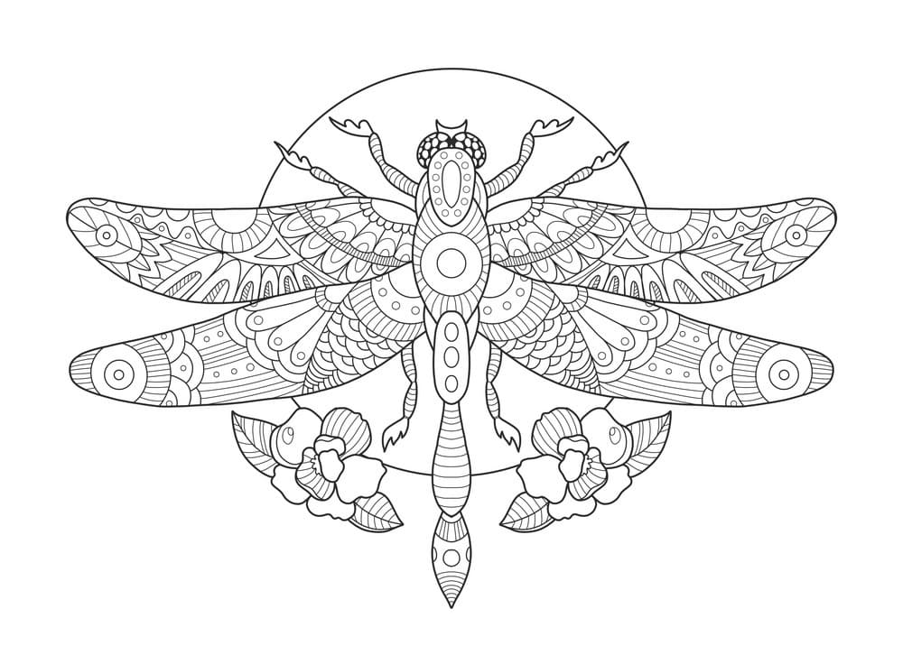 Wonderful Dragonfly Coloring Game Wonderful Dragonfly