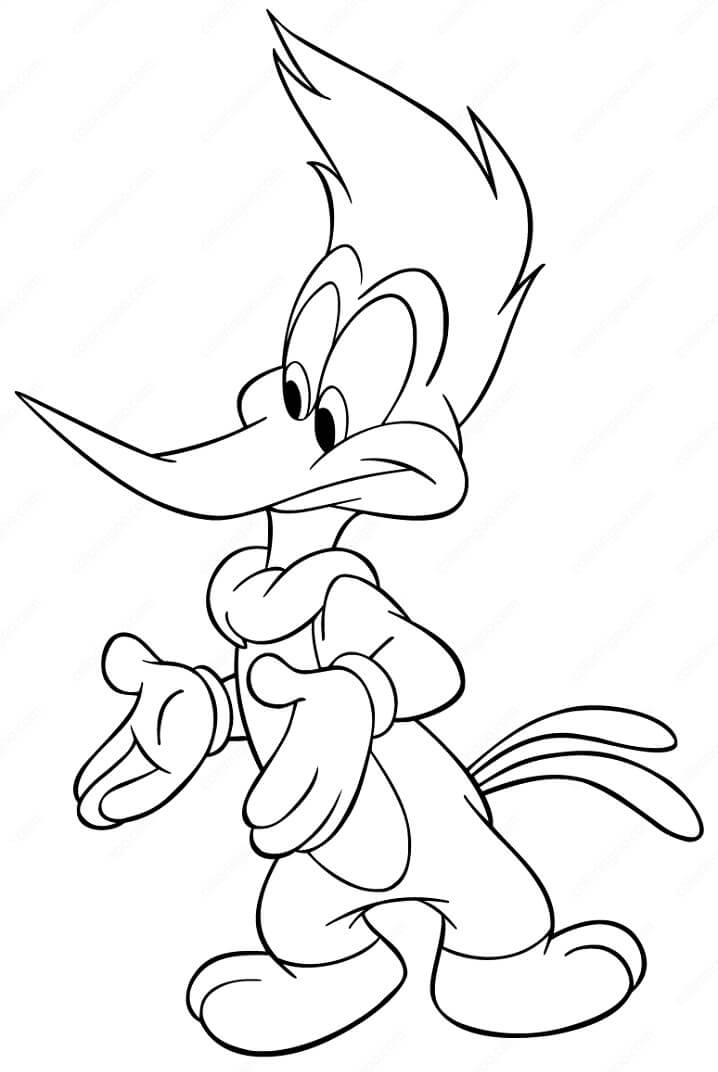 Woody Woodpecker 5