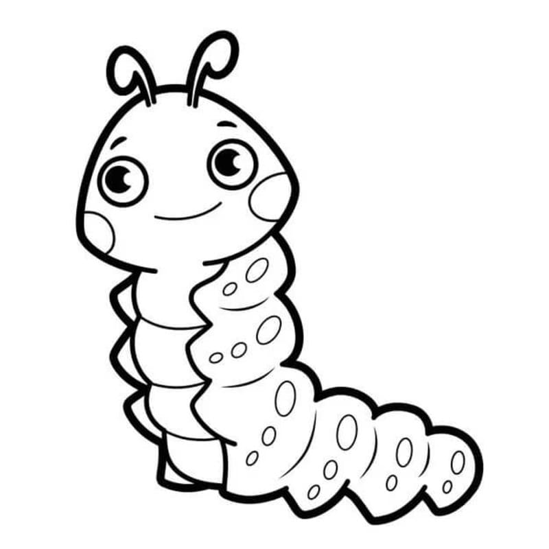 Worm Basic