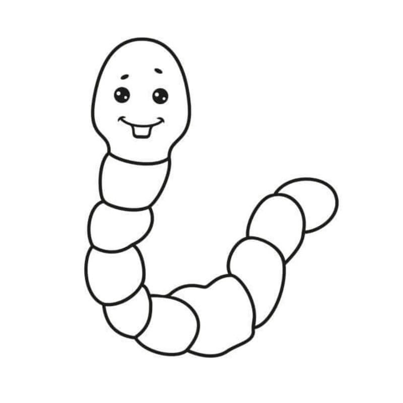 Worm Easy