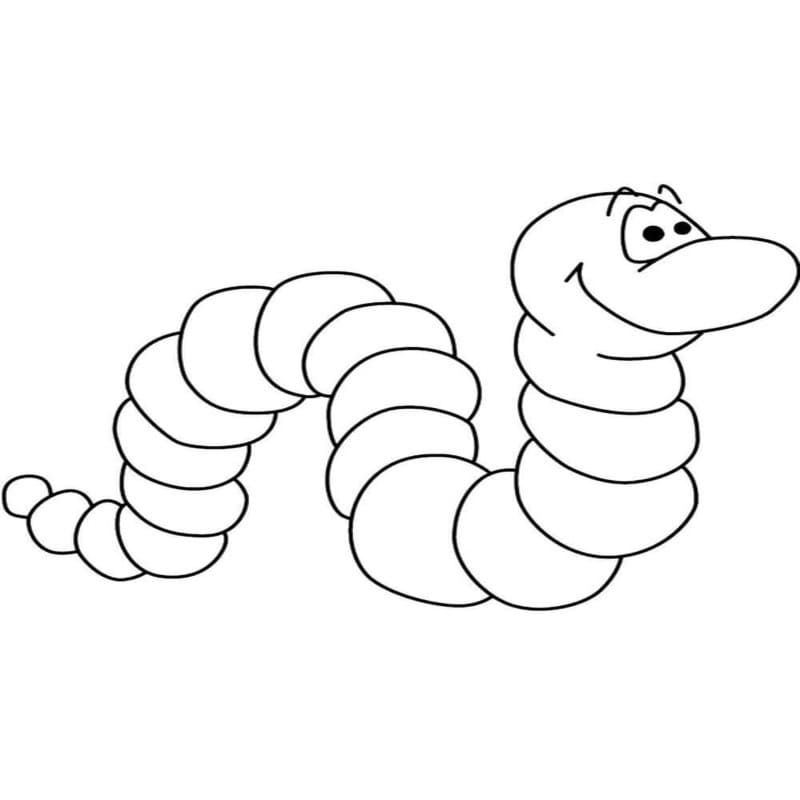 Worm Simple
