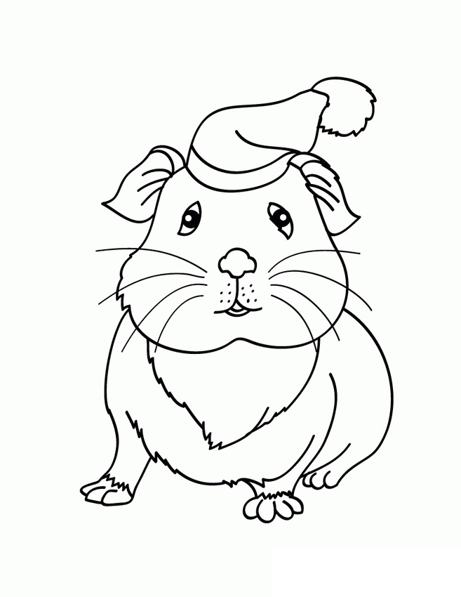 Xmas Guinea Pig Coloring Game Xmas Guinea Pig