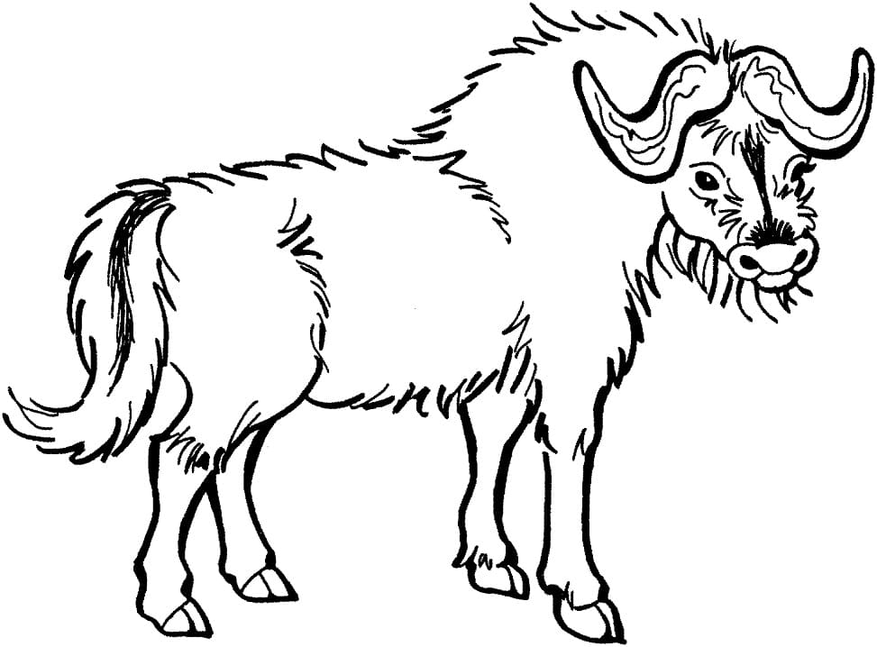 Easy Yak Coloring - Play Free Coloring Game Online