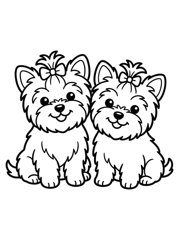 Yorkie Twins