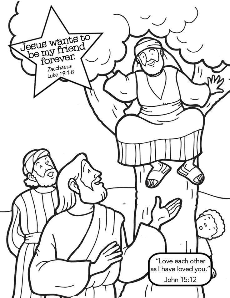 Zacchaeus 3