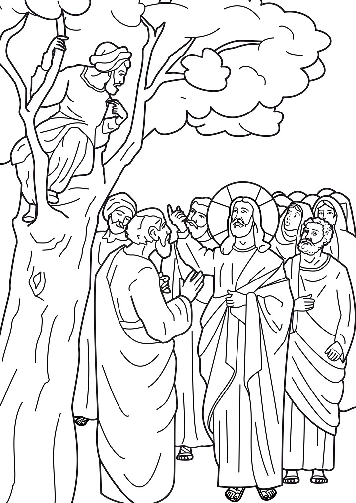 Zacchaeus 5