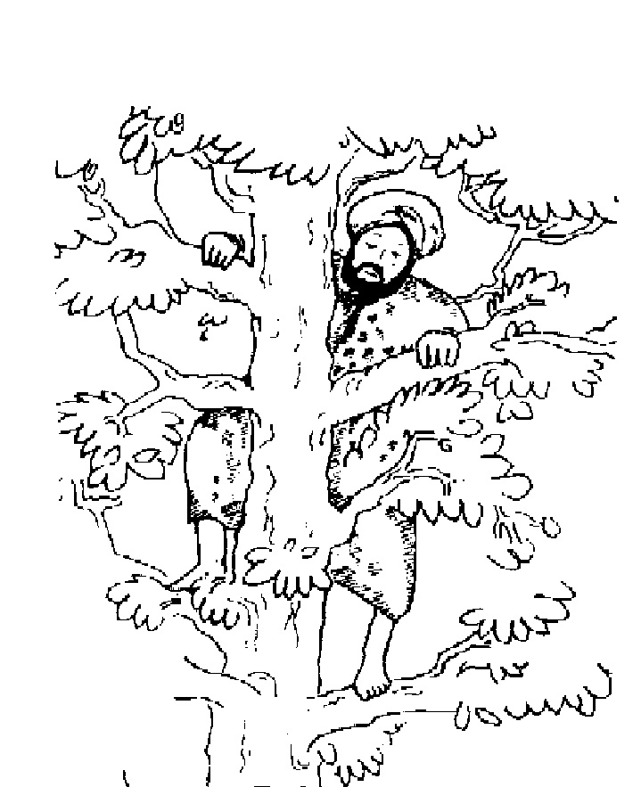 Zacchaeus 6
