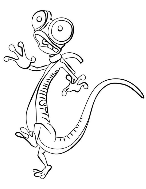 Zack from Bernard Bear