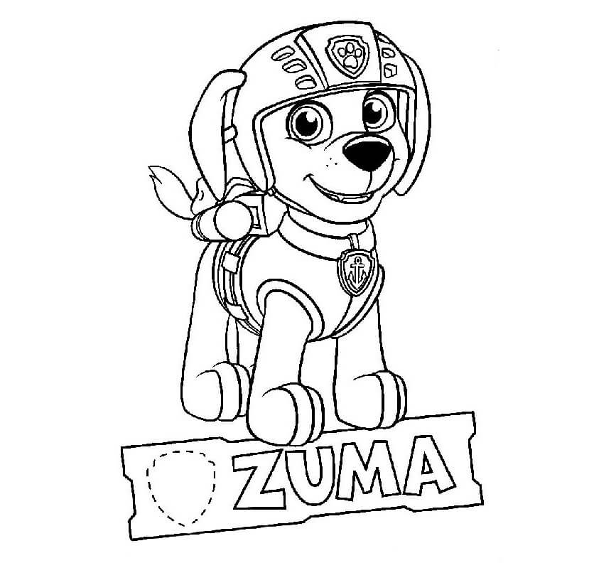 Zuma Paw Patrol