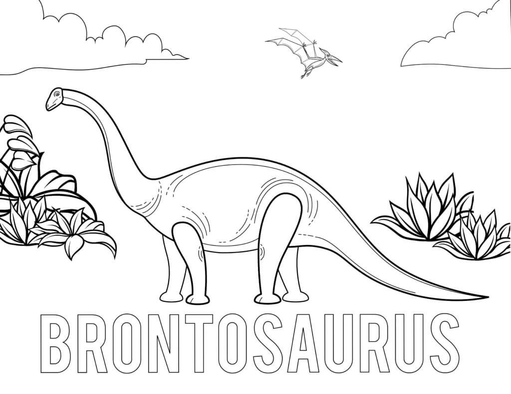 Brontosaurus Dinosaur