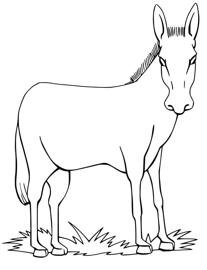 Mule Coloring Pages