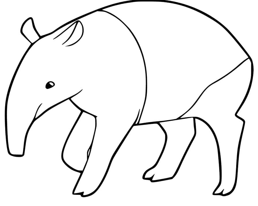 Normal Tapir Coloring - Play Free Coloring Game Online